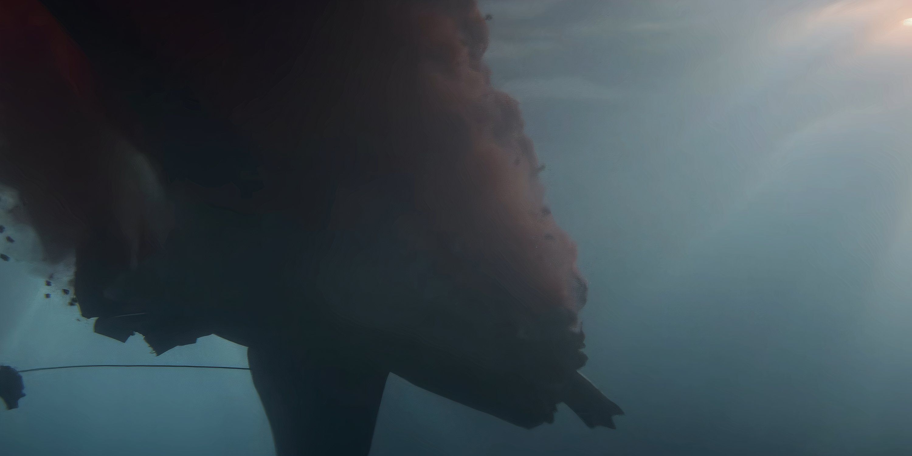 Biggest Differences Between The Jaws Book And The Movie