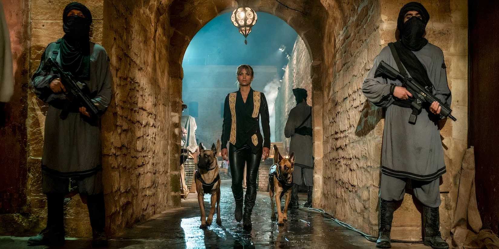 john wick 3 halle berry dogs