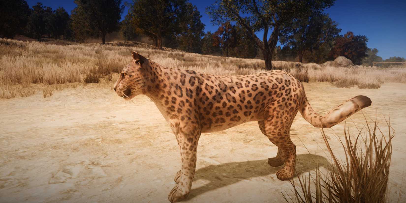 Khan the Legendary Jaguar