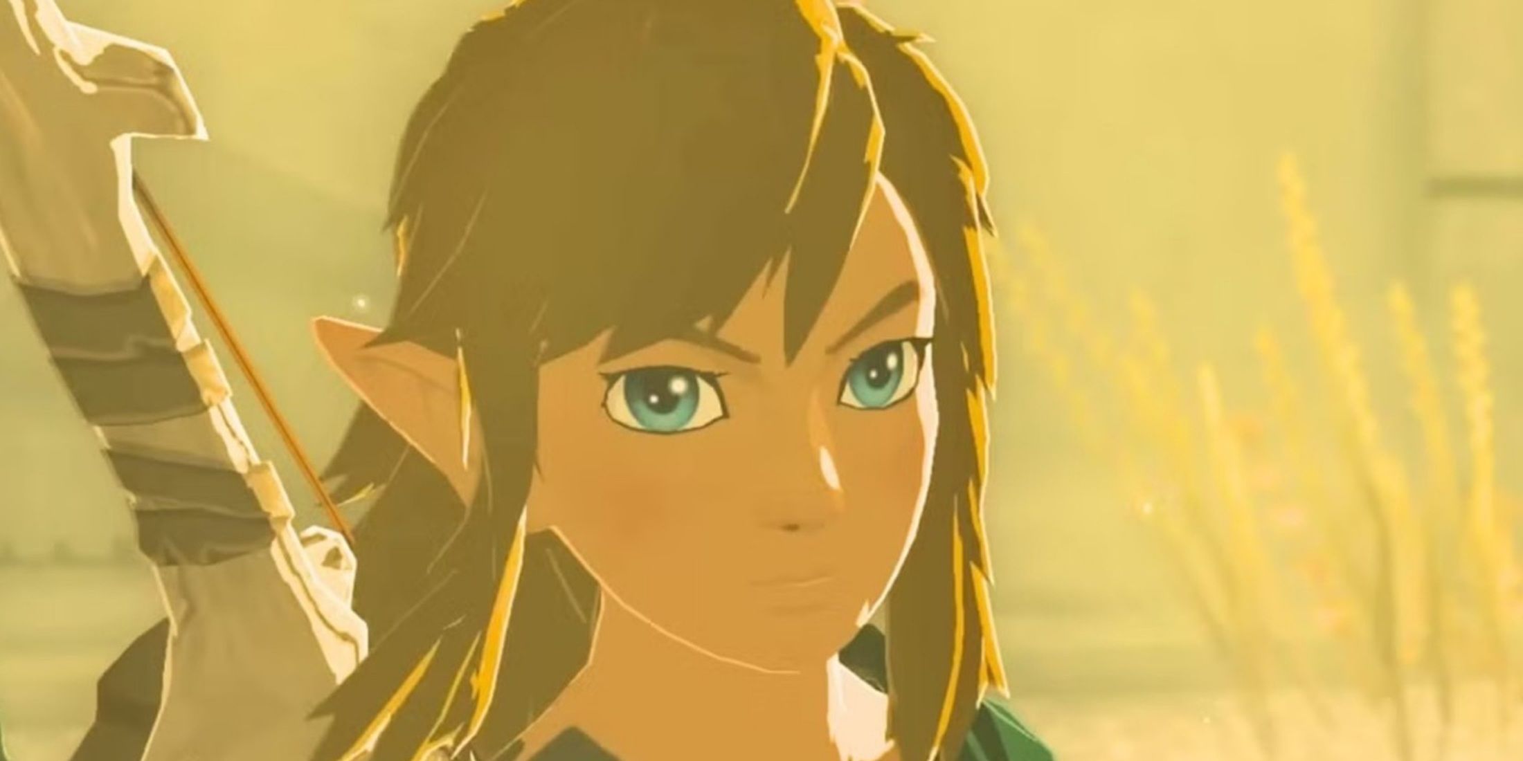 legend of zelda link