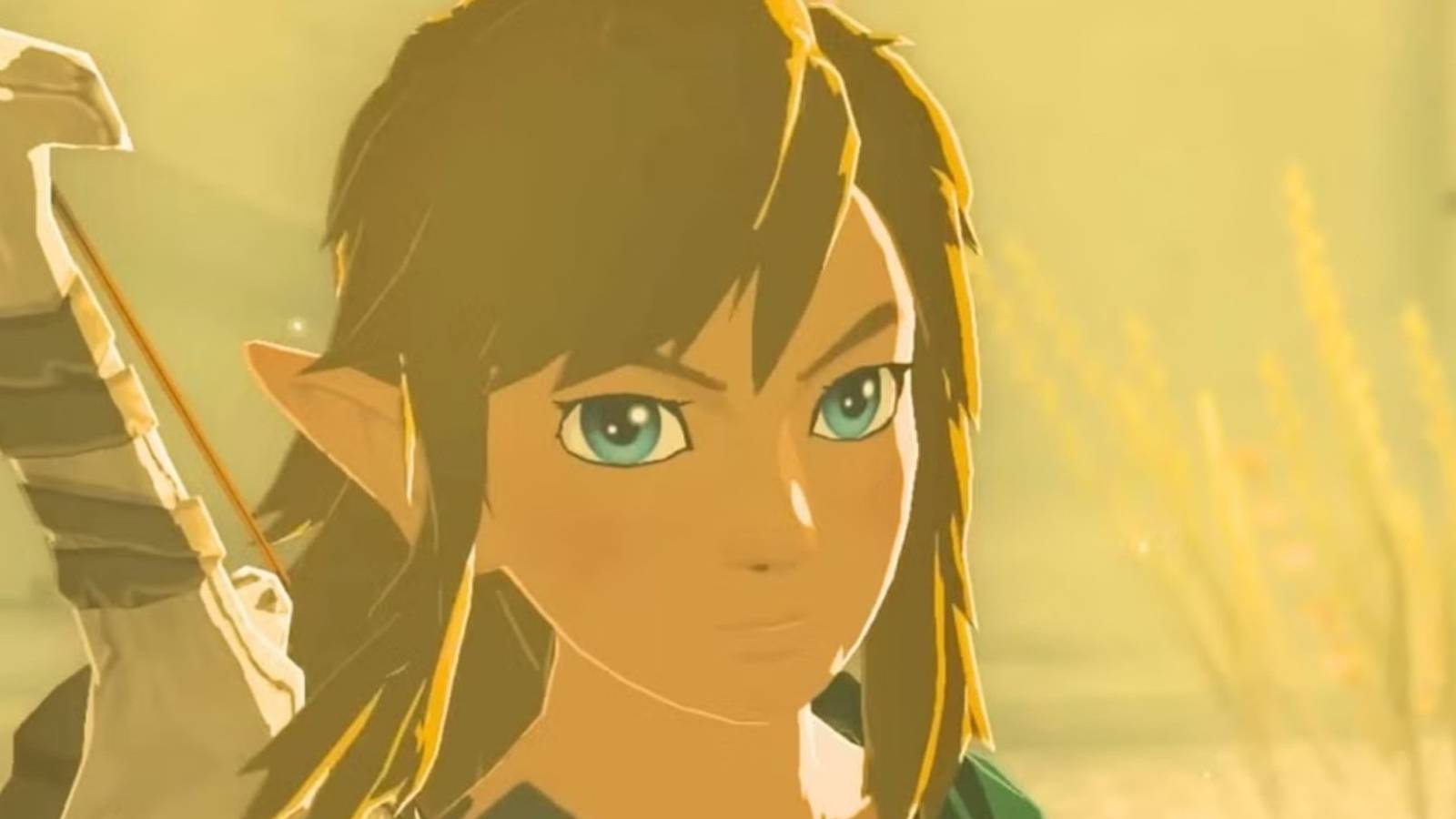 legend of zelda link