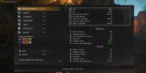 Leveling up in Nioh 3