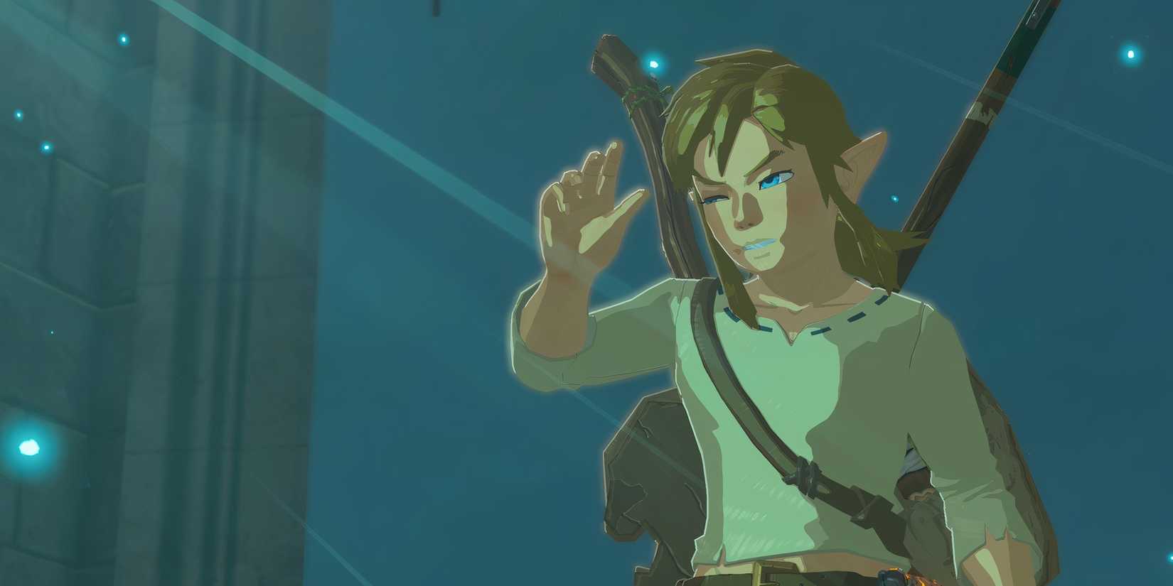 Link squinting in The Legend of Zelda Breath of the Wild