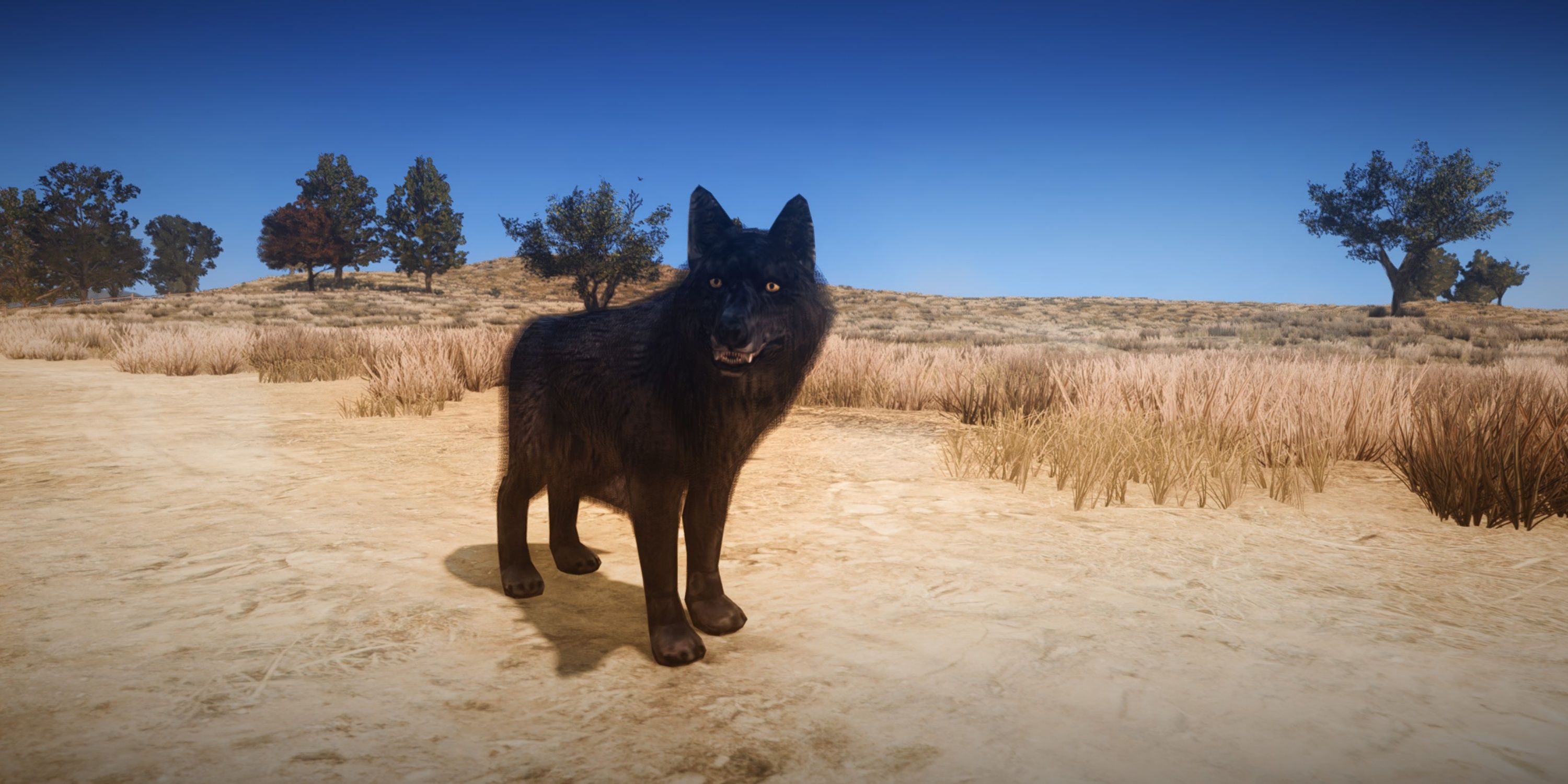 Master Hunter Challenges in Red Dead Redemption