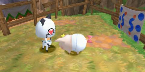 Managing a pig in Monster Hunter Diary Poka Poka Airou Village