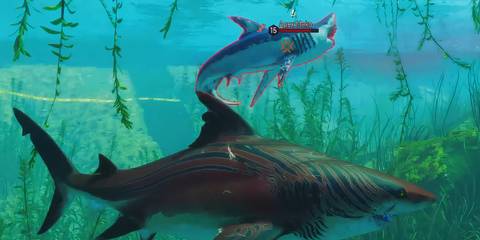 The bull shark fighting the Apex Mako in Maneater