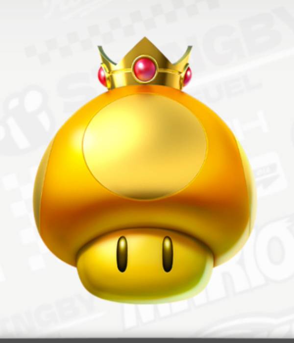 Mario Kart World All Items List Every Item MKW Golden Dash Mushroom