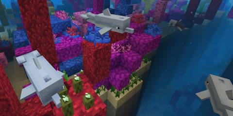 minecraft-dolphin-kills-wither-boss