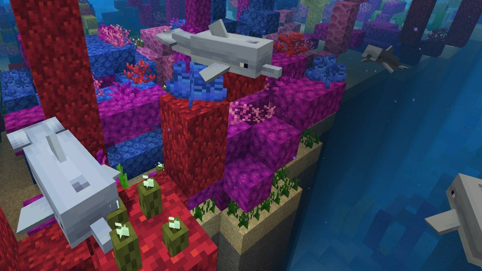 minecraft-dolphin-kills-wither-boss