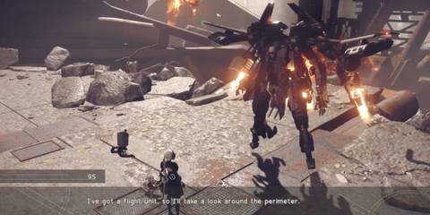 Nier Automata 9s Campaign