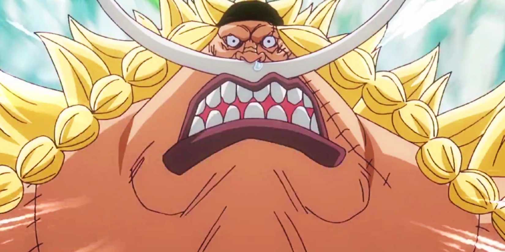 Edward Weevil, Whitebeard's supposed son, smiles