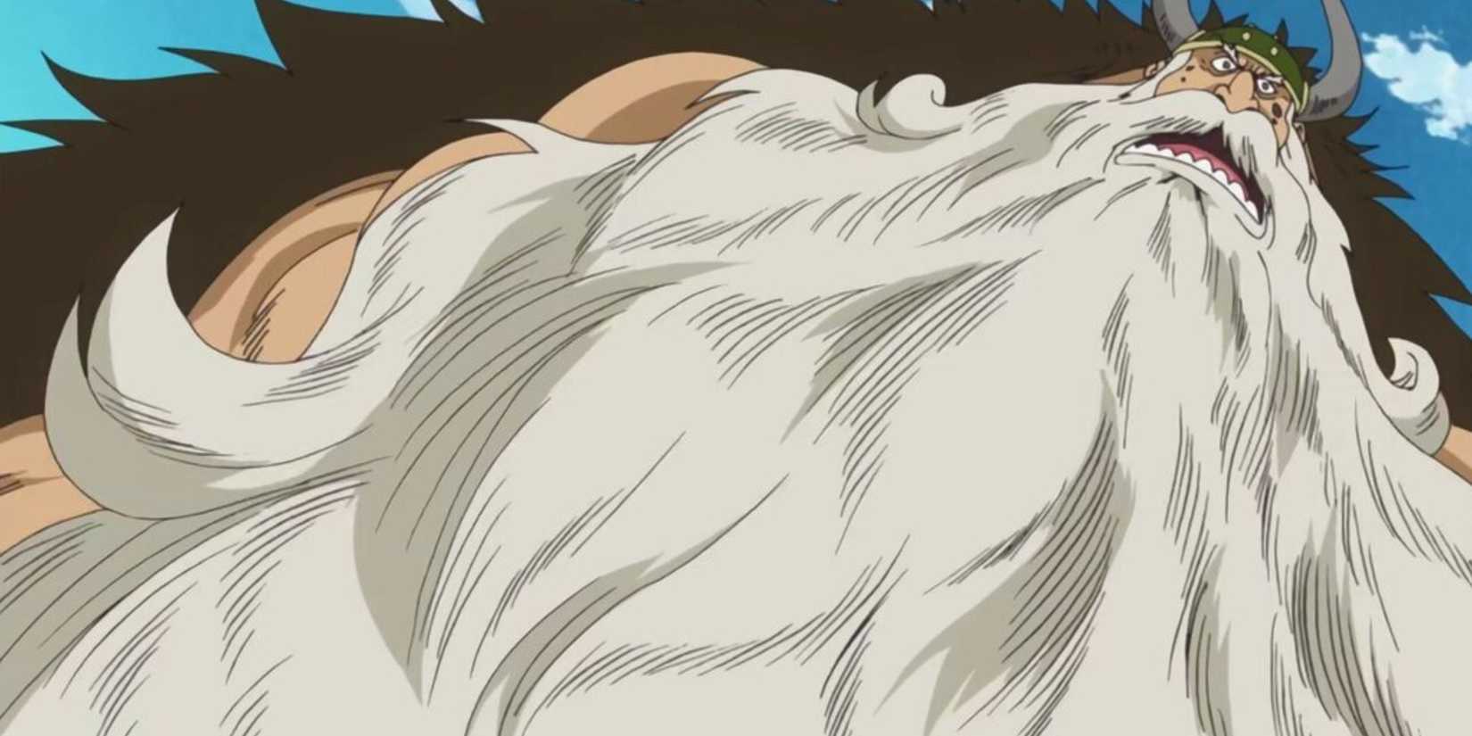 Jarul and Jorul Are Likely Conqueror's Haki Wielders one piece