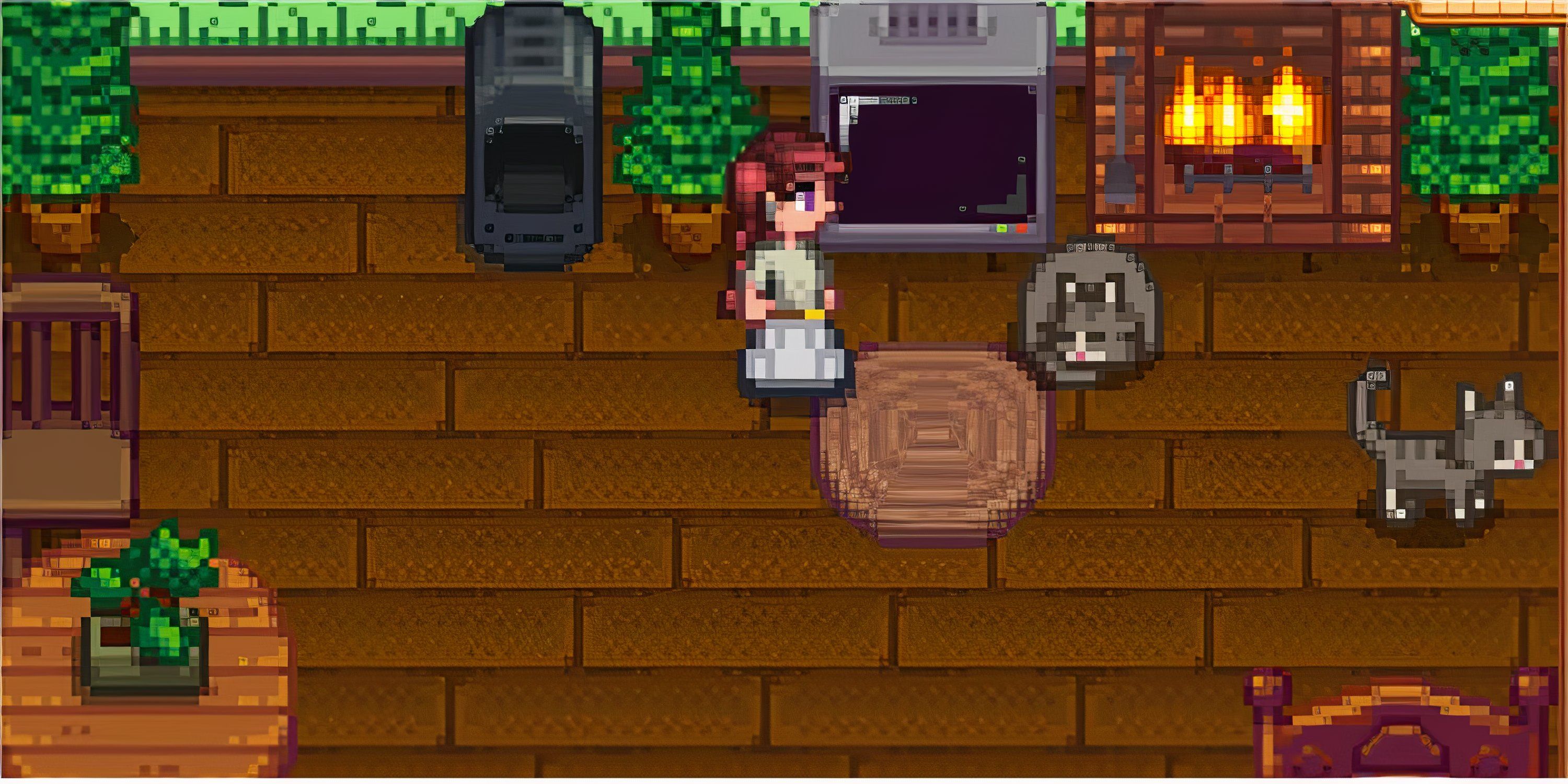 Two Cats or Two Dogs