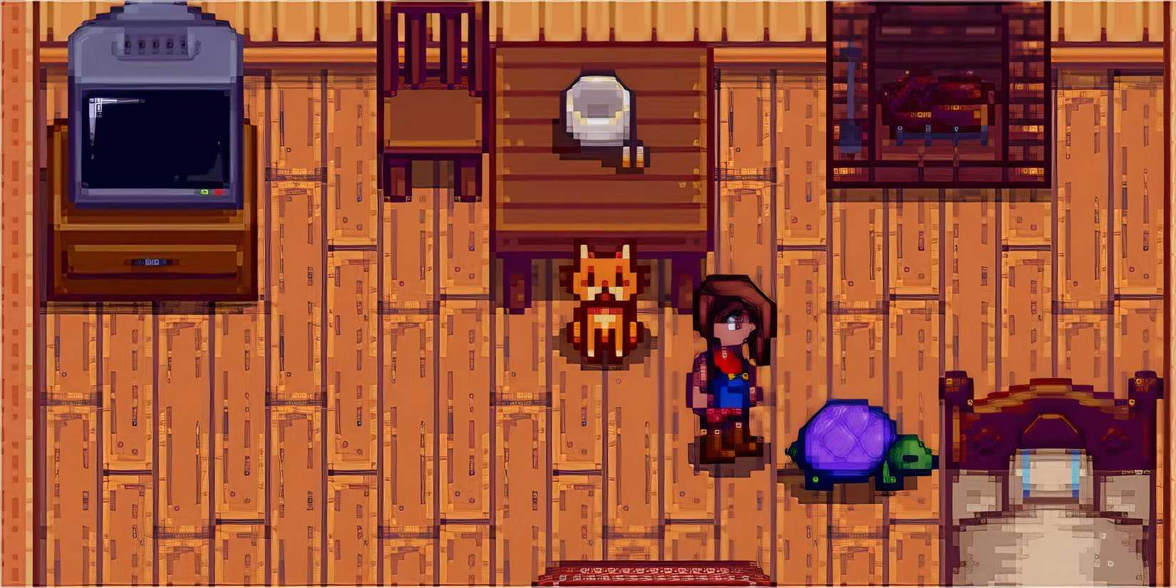 (cat and iridium turtle)