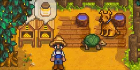 Stardew Valley - Dog and Turtle (Pets)