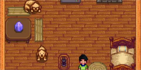 Stardew Valley - Two Dogs (pets)