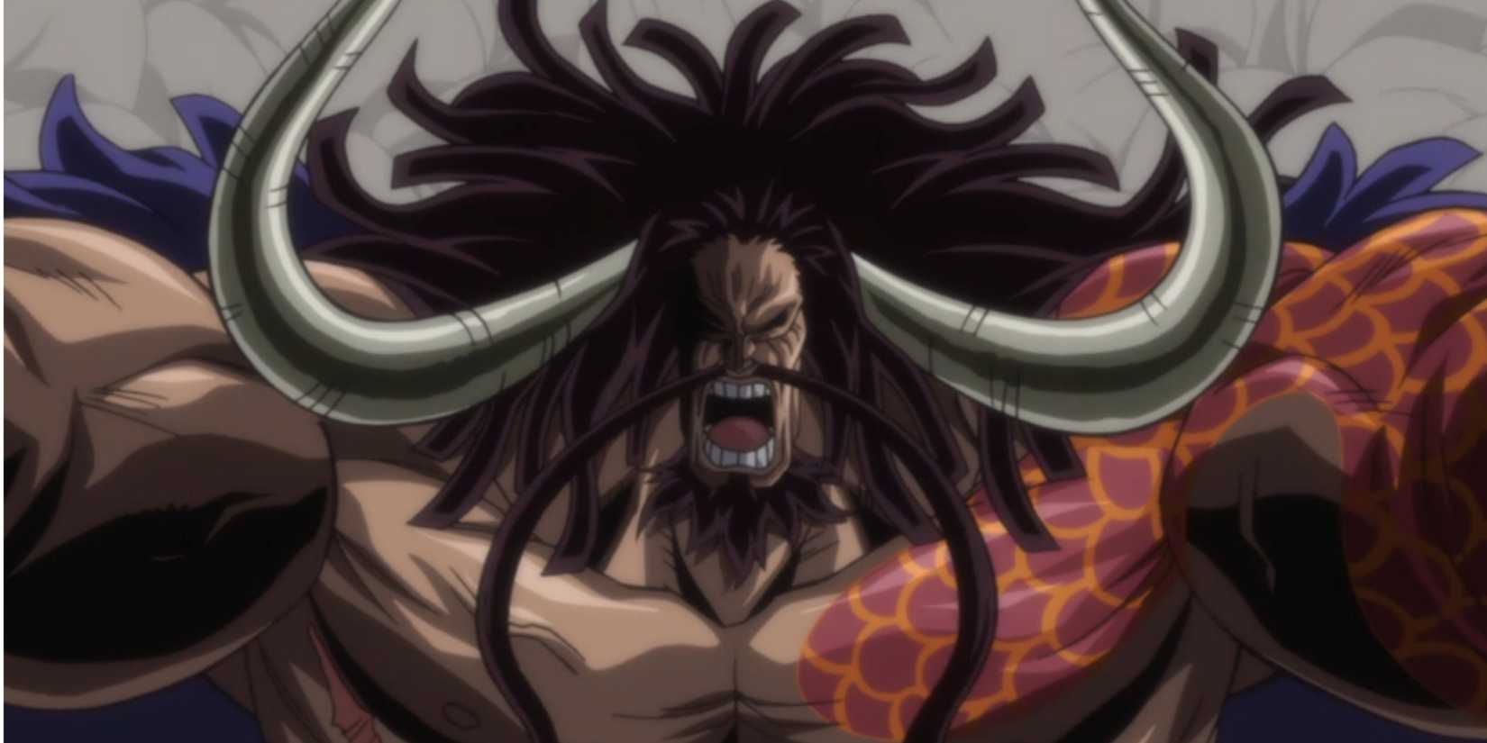 Kaido, looking upset