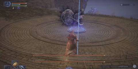 Elden Ring Nightreign Godskin Duo