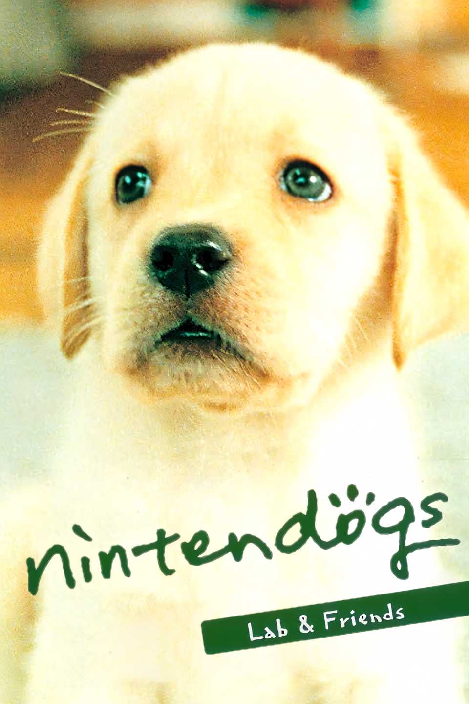 Nintendogs Tag Page Cover Art