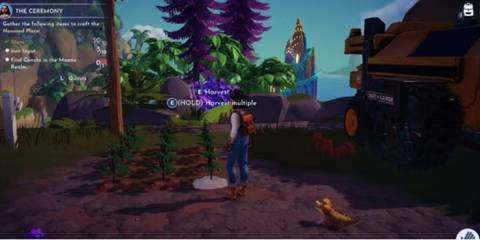 Harvesting of Okra in Disney Dream Light Valley 