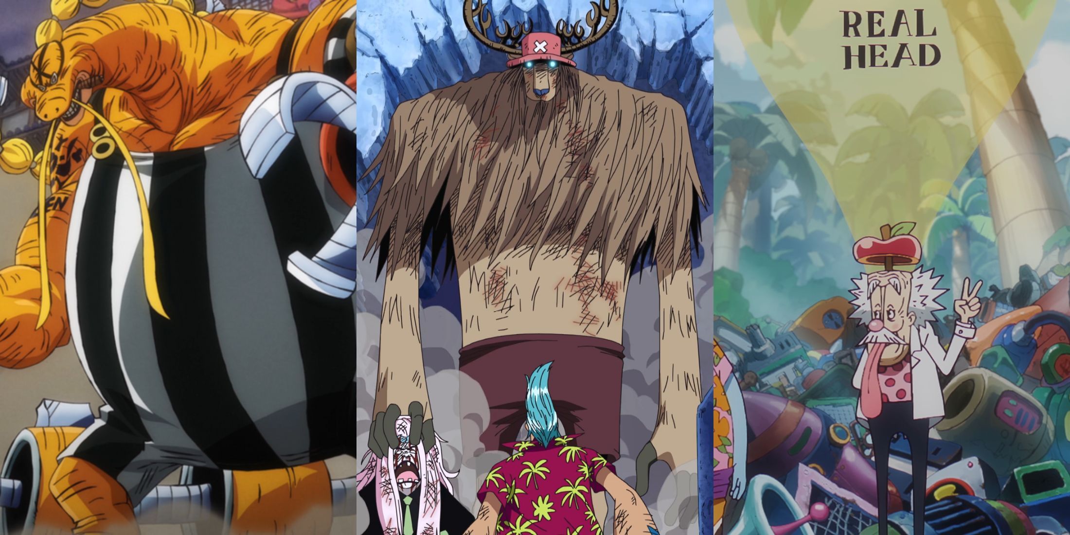A collage of three One Piece characters who modified their respective Devil Fruits: Queen, Tony Tony Chopper and Doctor Vegapunk.