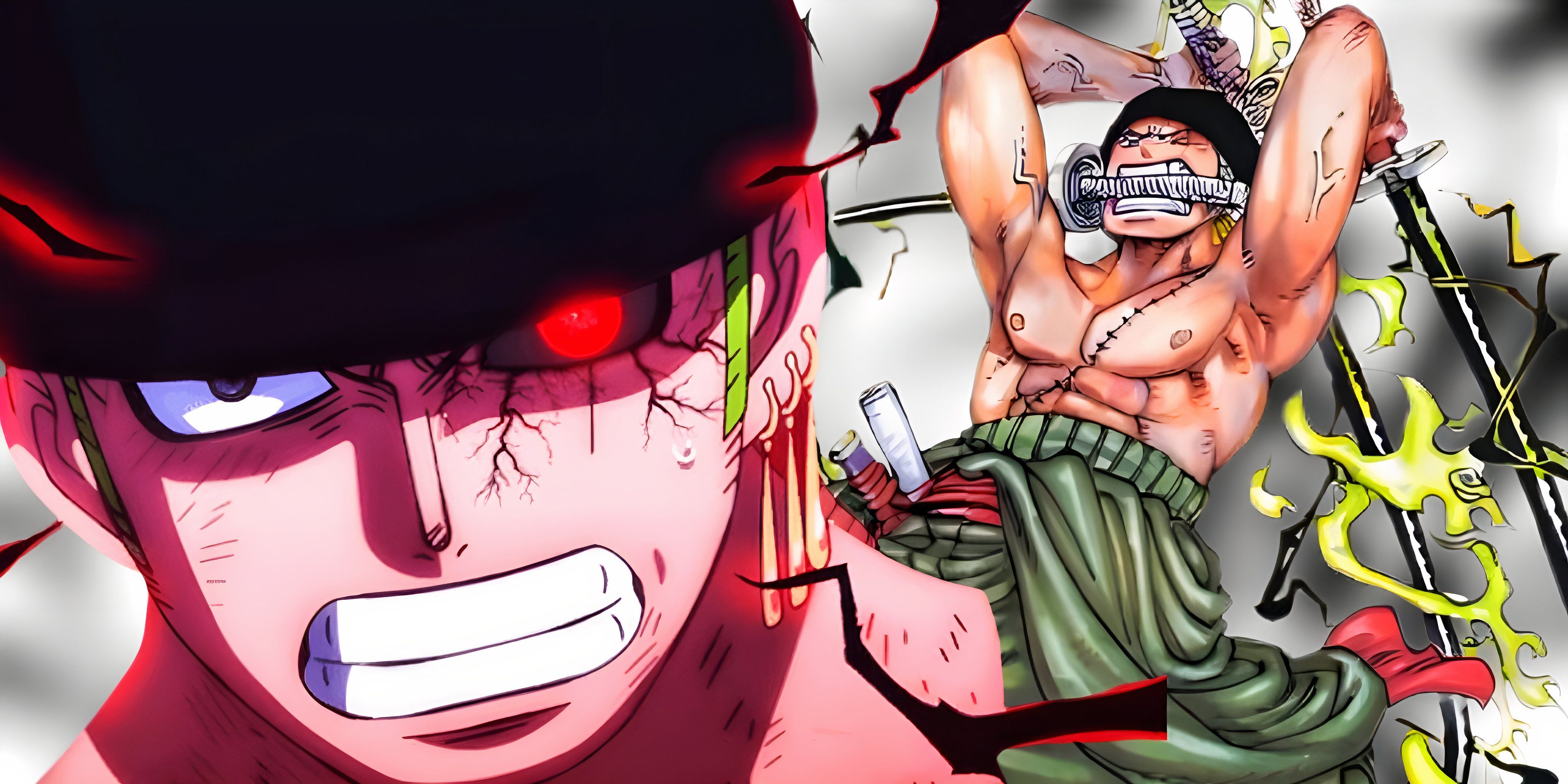 One piece of Zoro Next Power Up level Mihawk