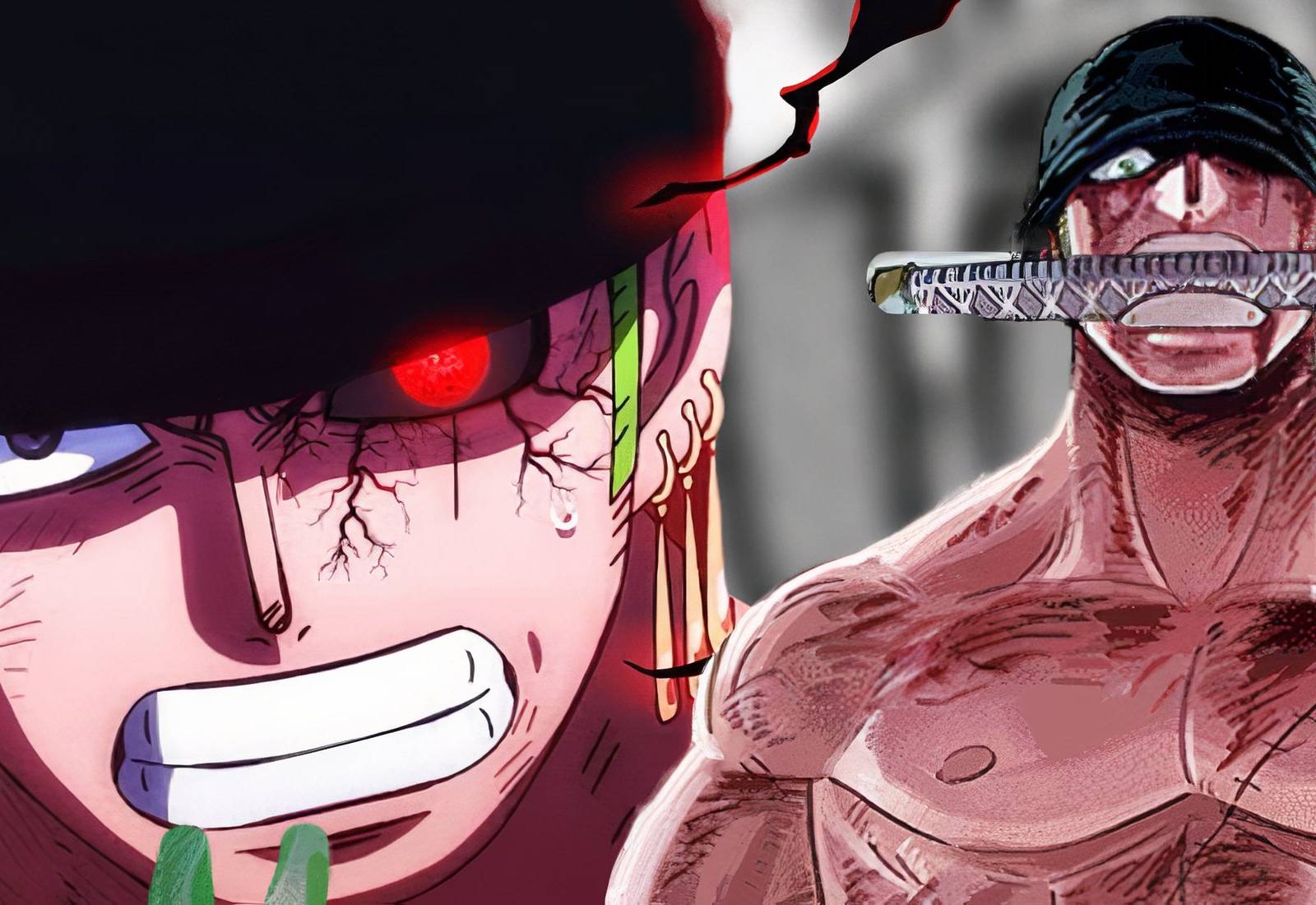 One Piece: Oda Finally Confirms Zoro's New Haki