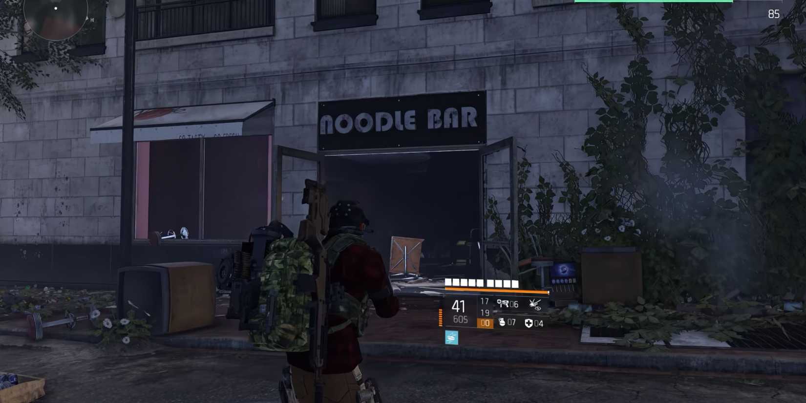 Pair of Lion Eyes Location 5