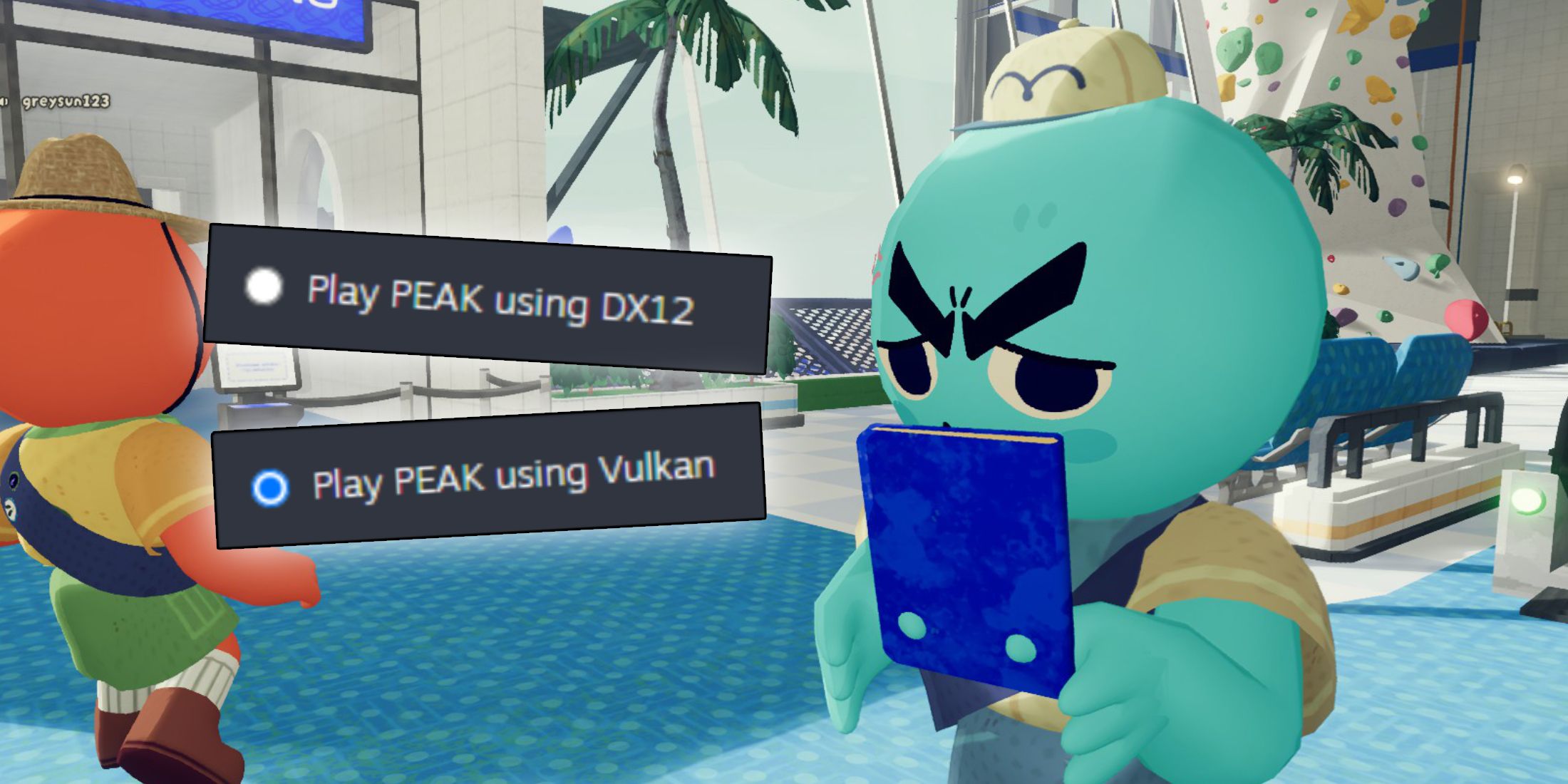 Peak -Startoption Wählen Sie DX12 oder Vulkan aus