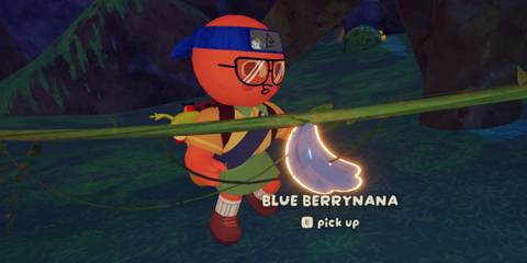 PEAK Poisoned Berries Poison Berry Safe Foods Blue Berrynana