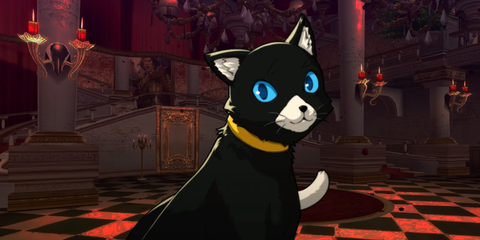 Persona 5 Morgana (Cat) in Kamoshida's Palace