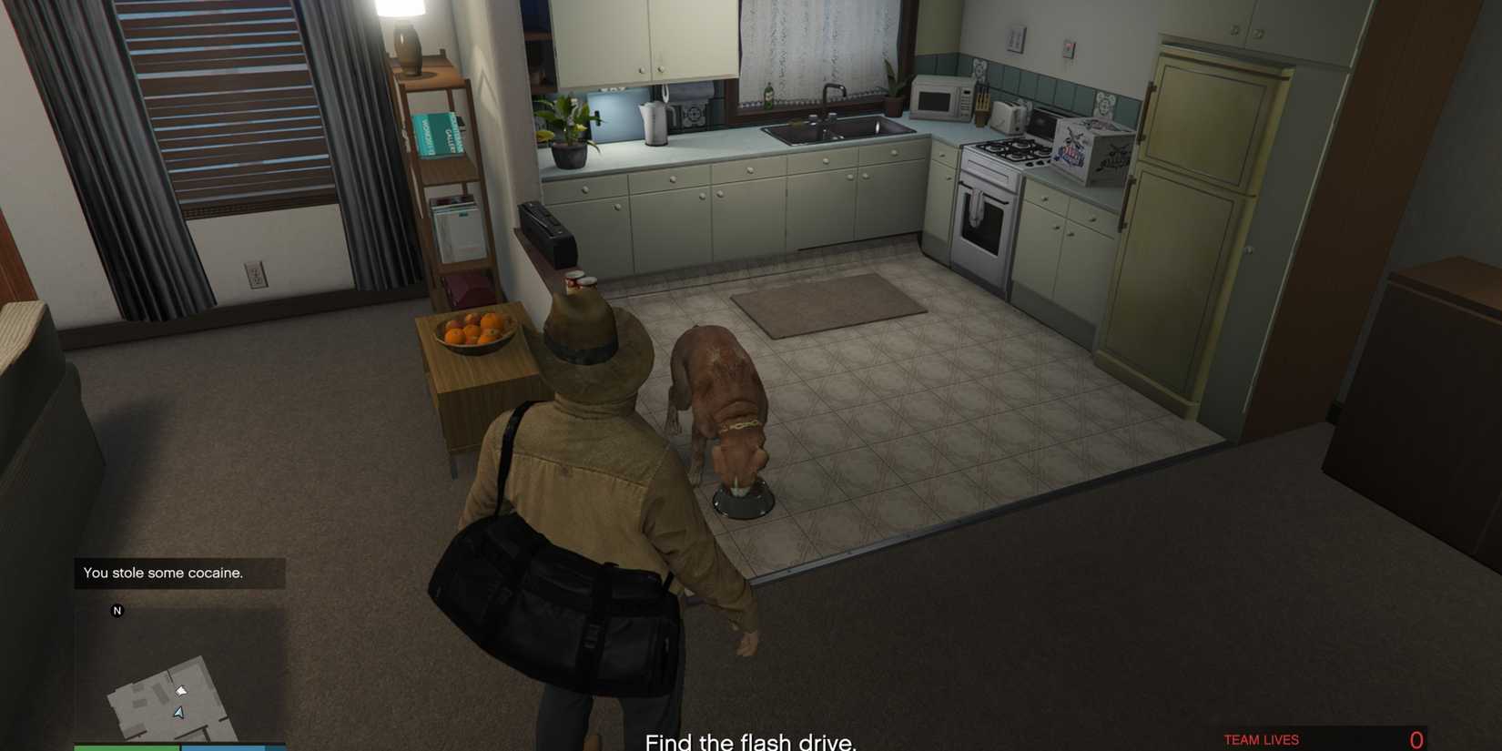 petting a dog in gta online