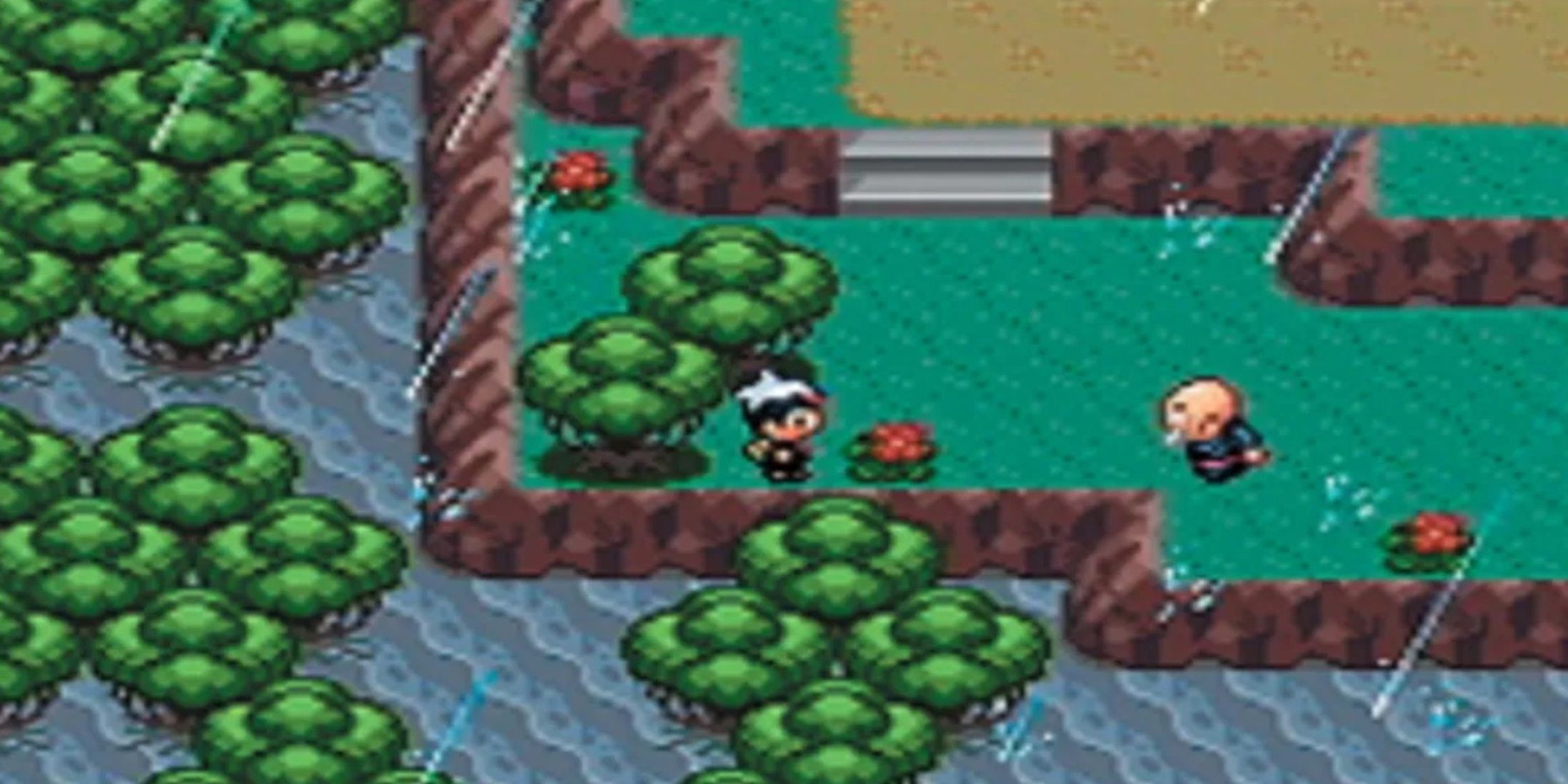 Pokemon Ruby and Sapphire gameplay screenshot