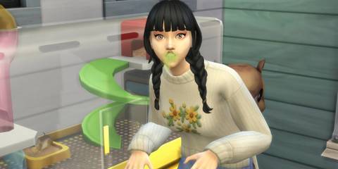 Rabid Rodent Fever  The Sims 4 