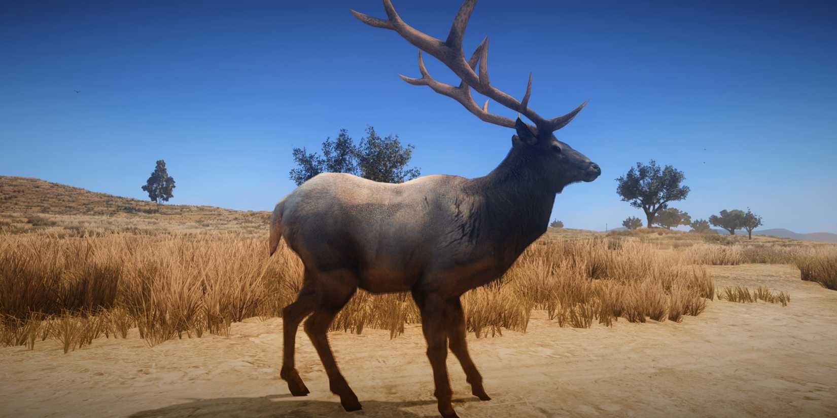 Elk In Rdr2 Master Hunter Challenges in Red Dead Redemption