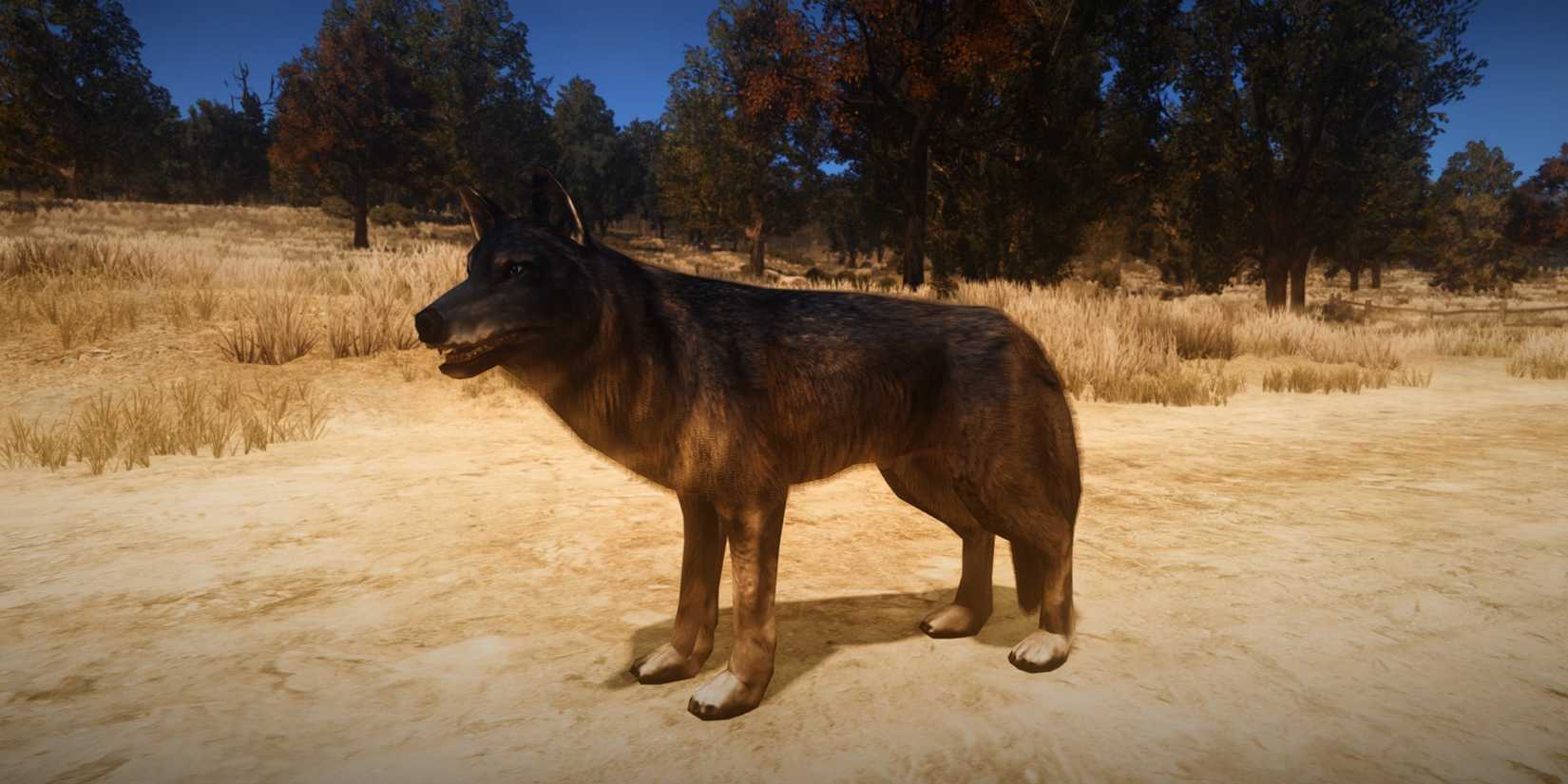 Wolf Hunting Rdr2 Master Hunter Challenges in Red Dead Redemption