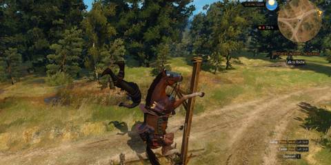 Roach glitch in The Witcher 3 Wild Hunt