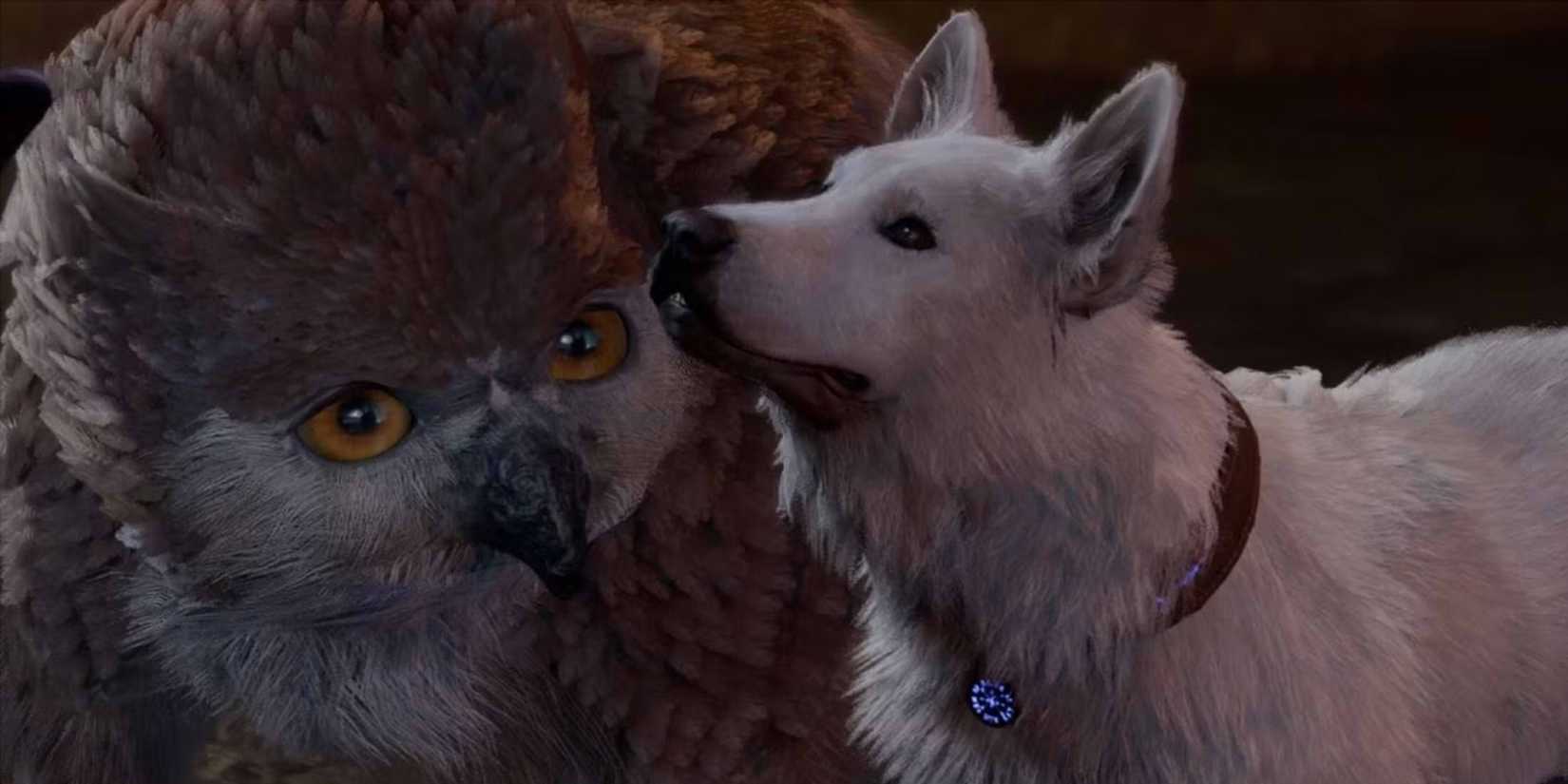 scratch and owlbear cub