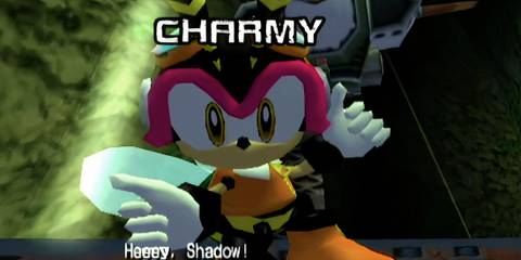 Charmy speaking to Shadow