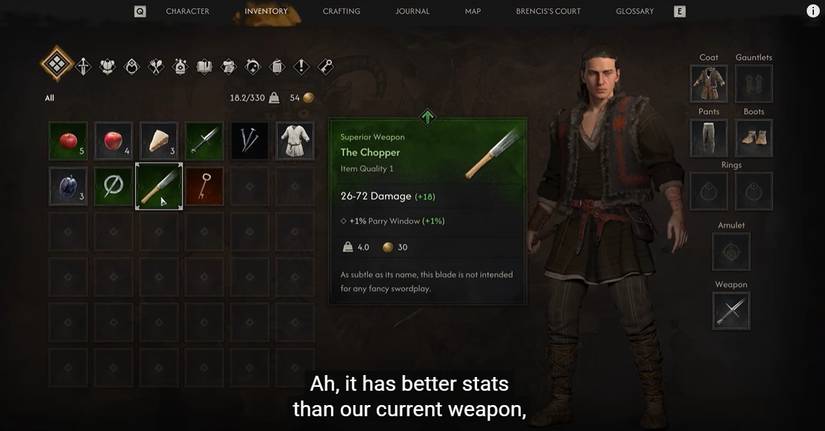 screenshot showcasing a look at the menu of blood of dawnwalker