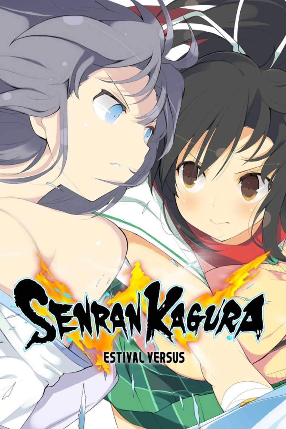 Senran Kagura Estival Versus video game cover art tag