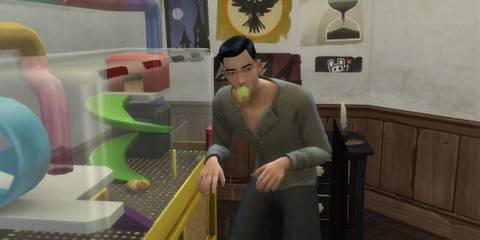 Sims 4 Rabid Rodent Fever