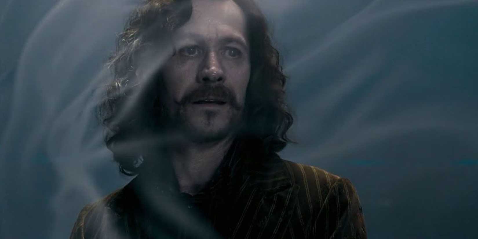 Sirius Black's death in Harry Potter