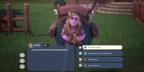 Speaking to Auni in Palia's Adventure On The Horizon quest