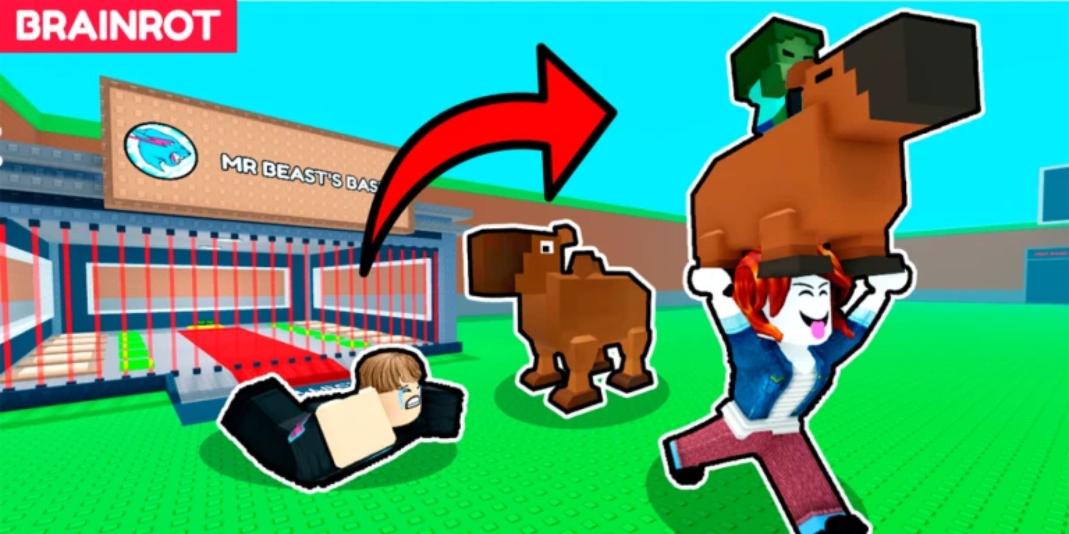 Steal a Capybara - capybaras