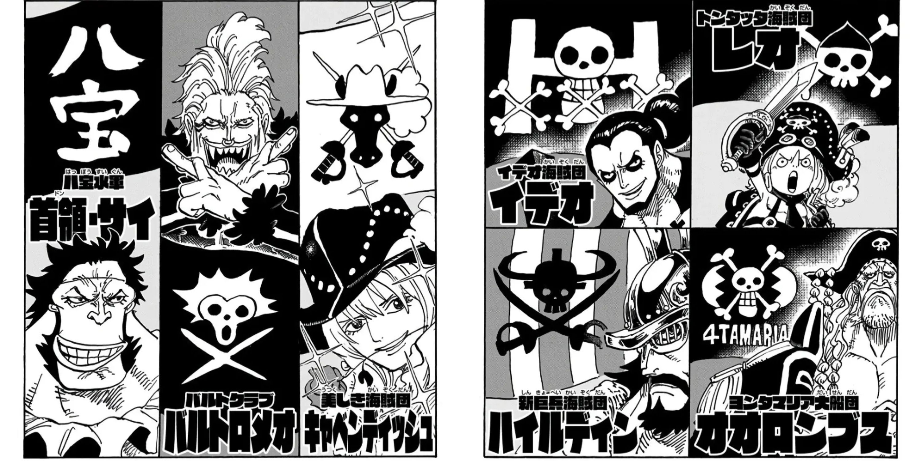 Straw Hat Grand Fleet from One Piece