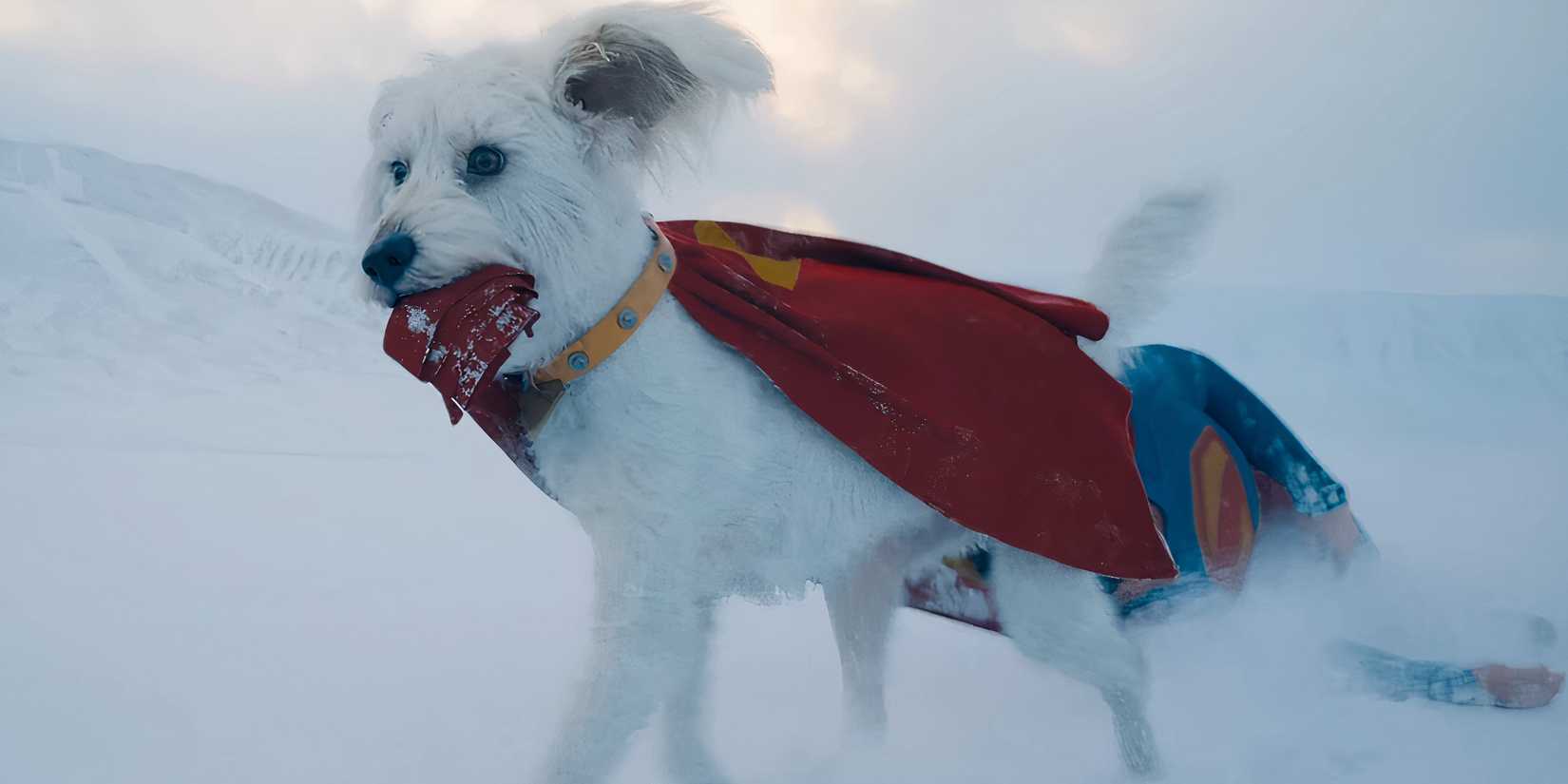 Krypto saving Superman in James Gunn's Superman