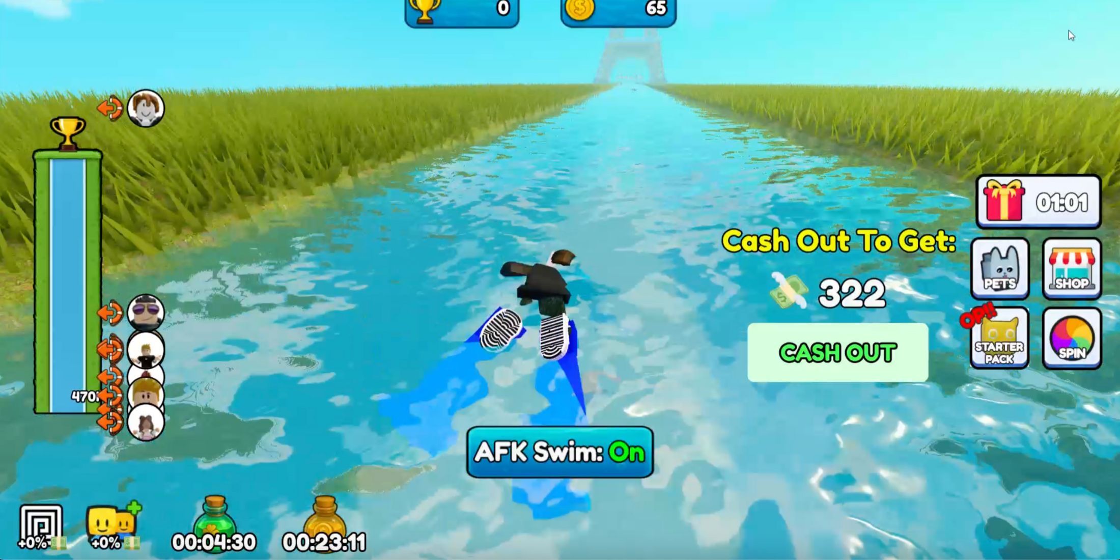 Swim for Money Player