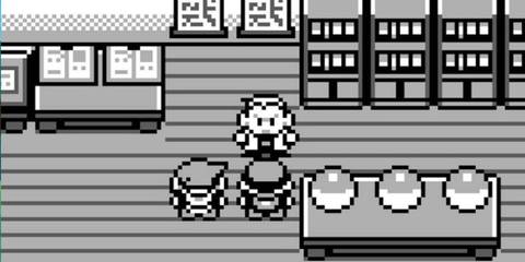 Talking to Professor Oak in Pokemon Red
