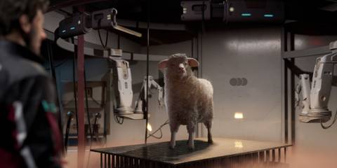 The-Alters-Can-You-Save-Molly-Womb